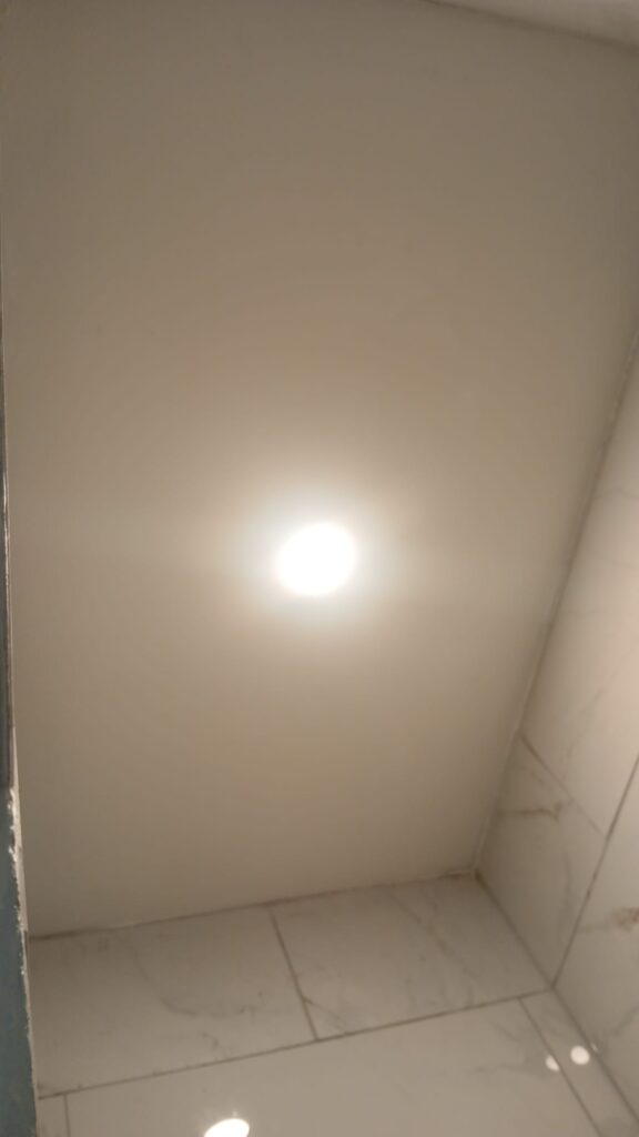 Project View 8