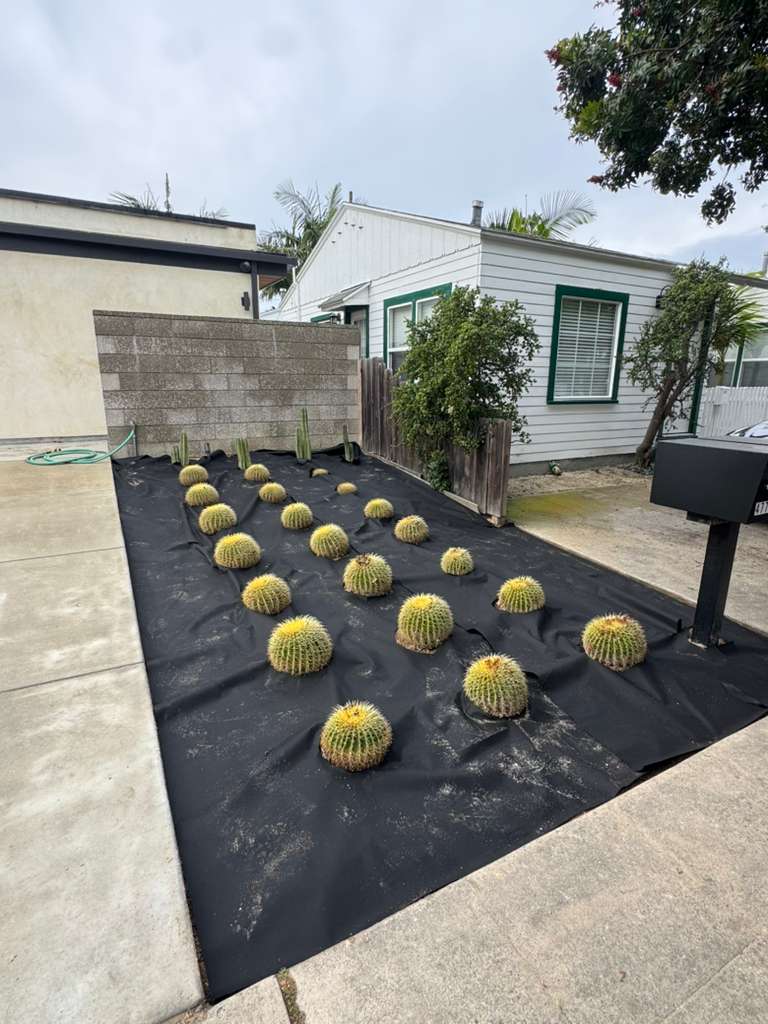 Project View 6