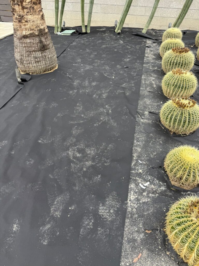 Project View 7