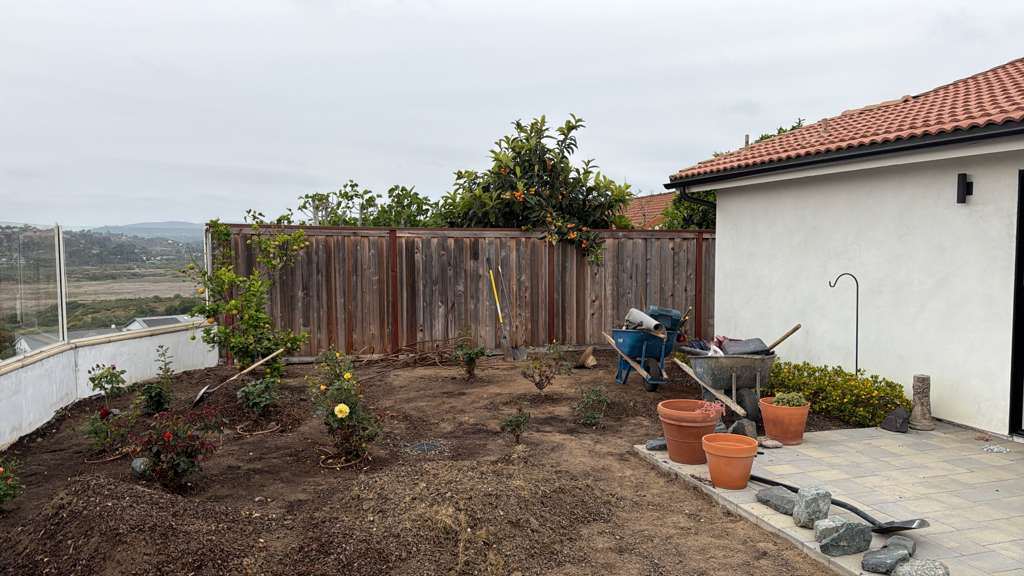 Project View 9