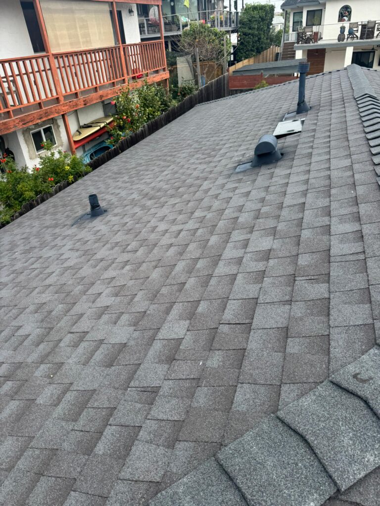 Project View 3