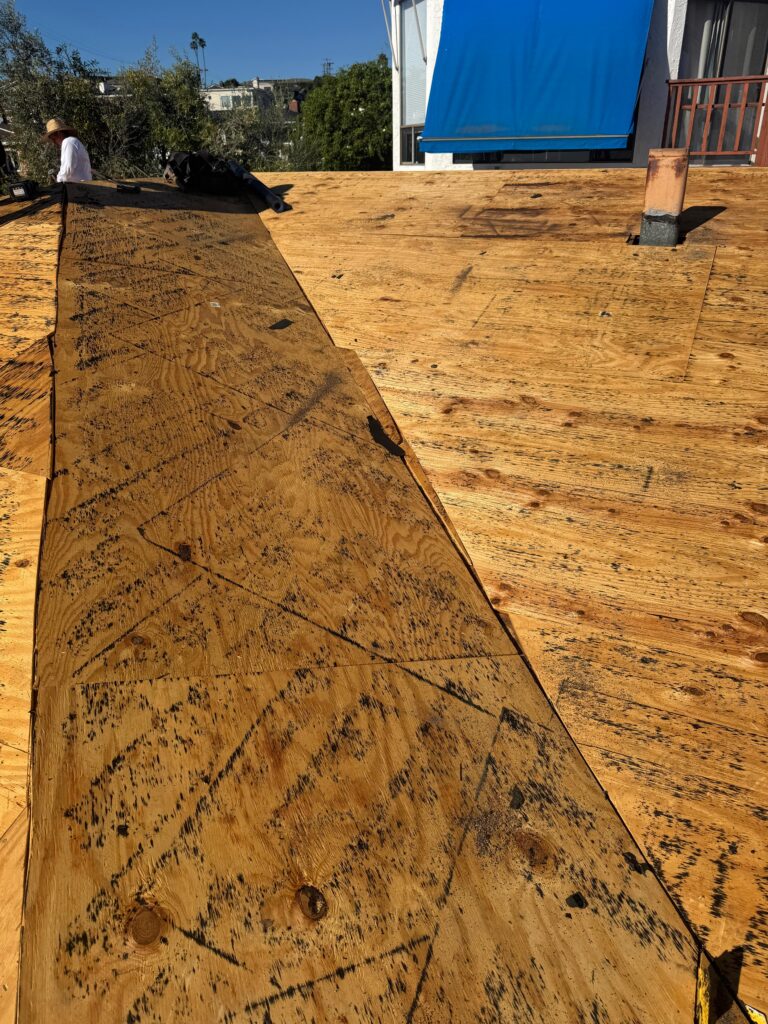 Project View 11
