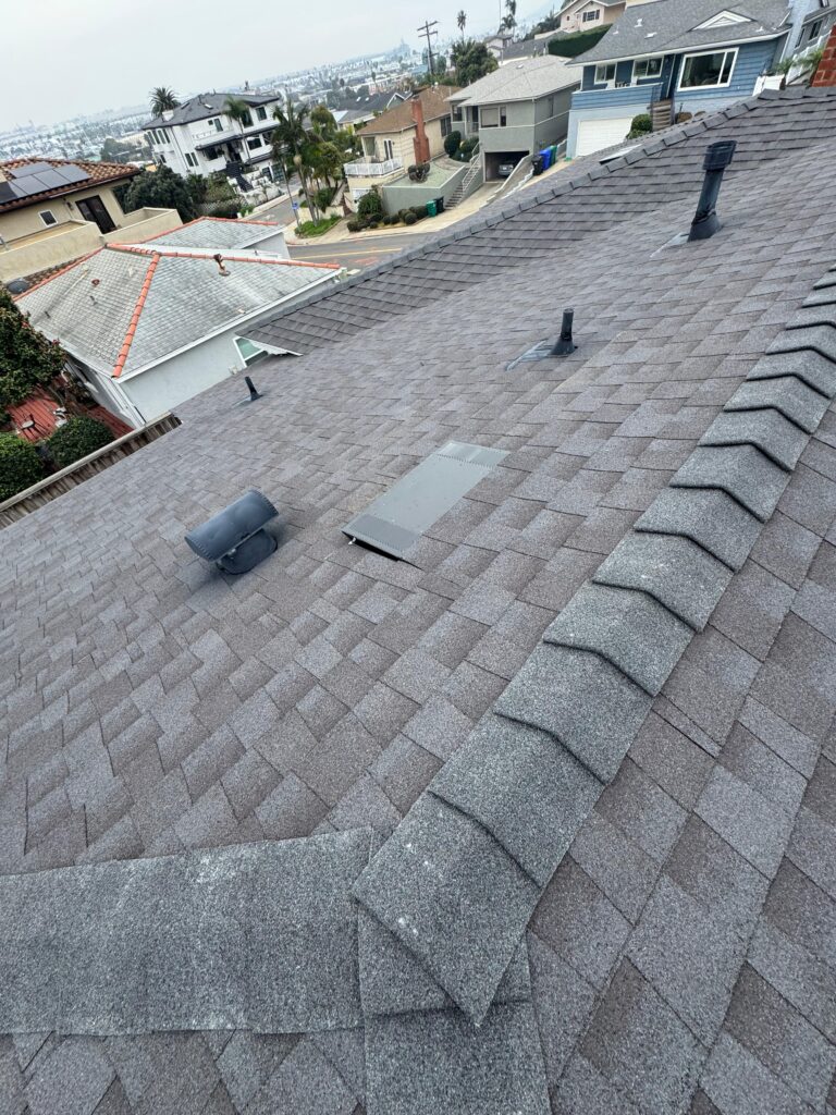 Project View 4
