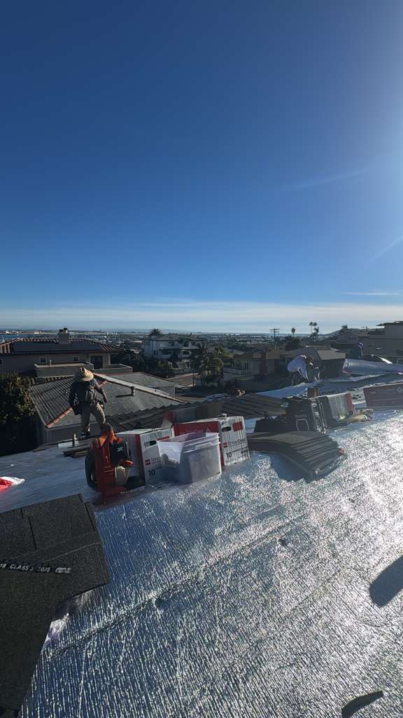 Project View 6