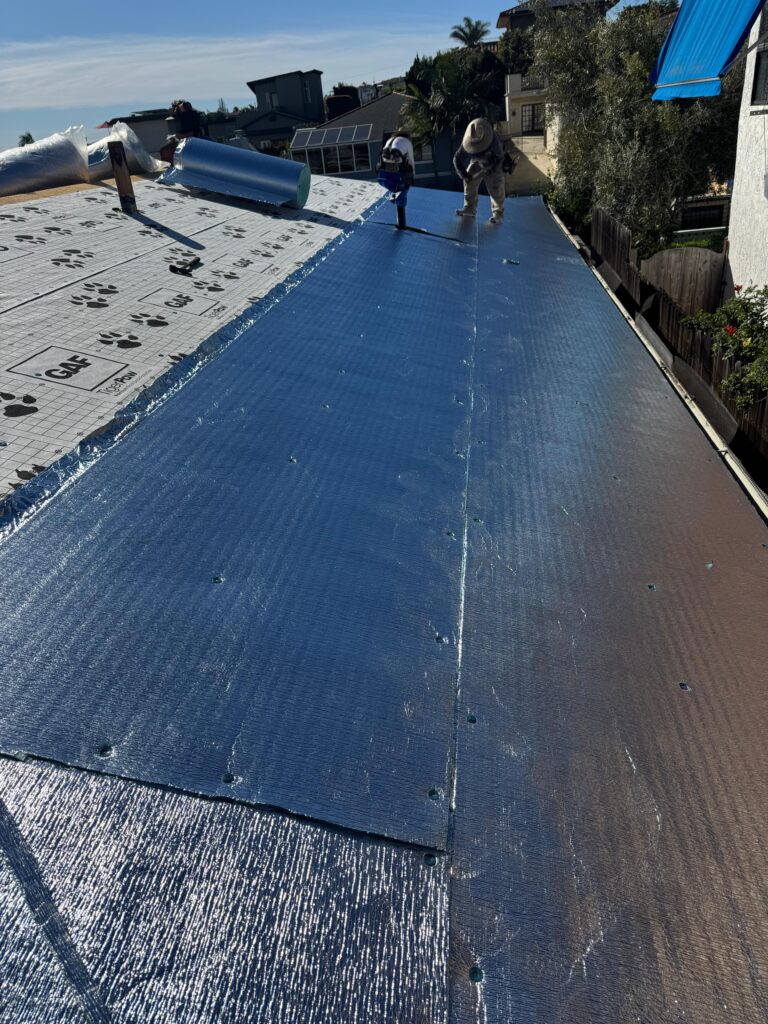 Project View 7