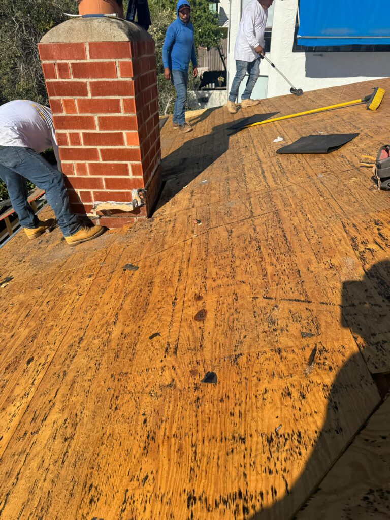 Project View 8