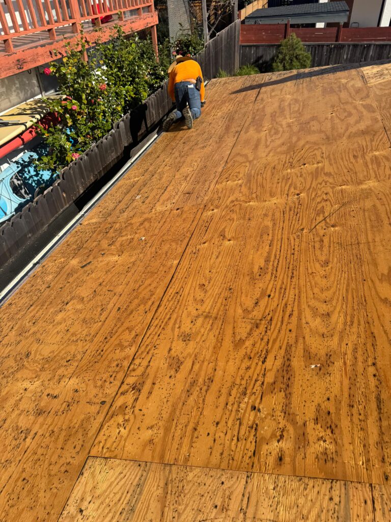 Project View 9