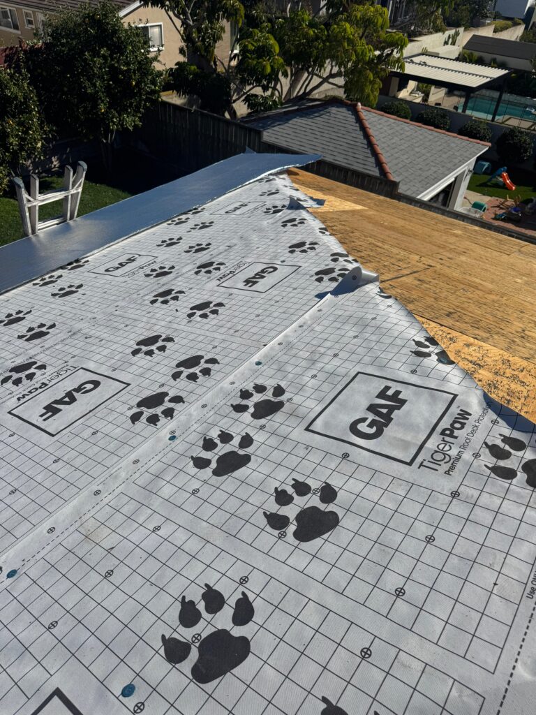 Project View 10