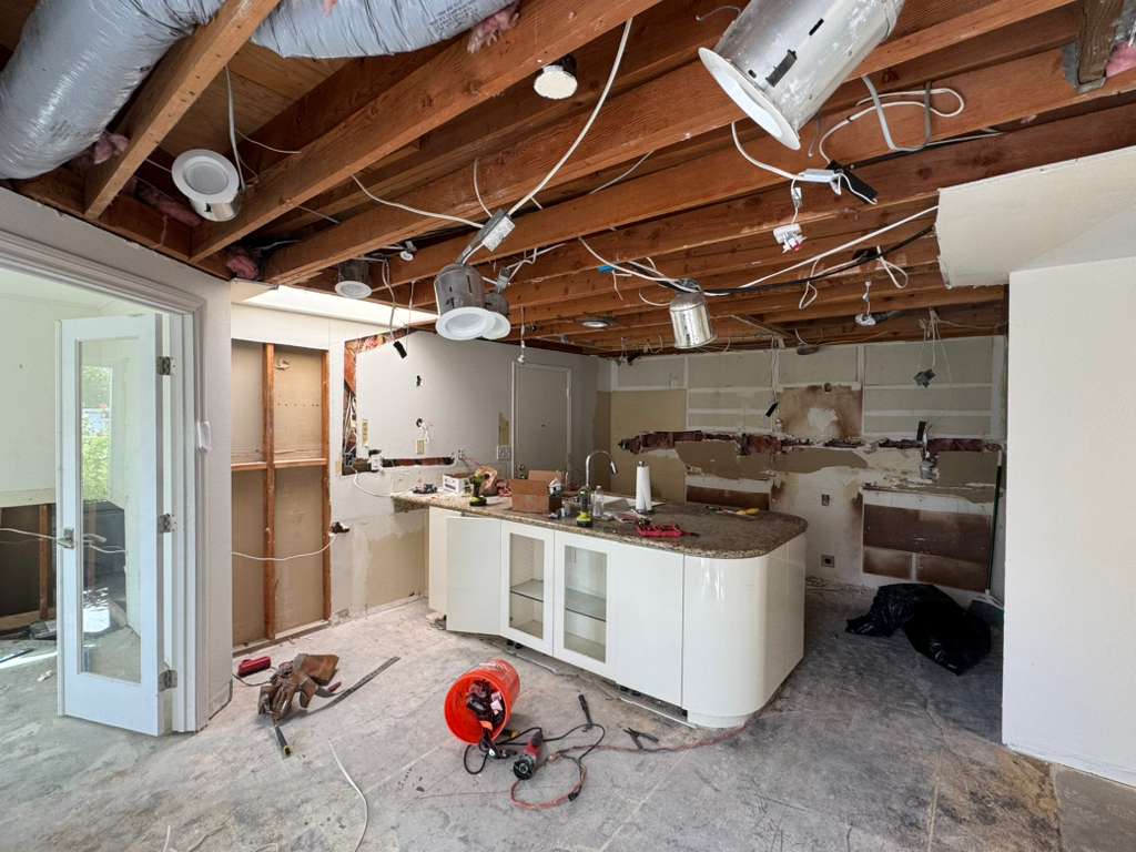Project View 10