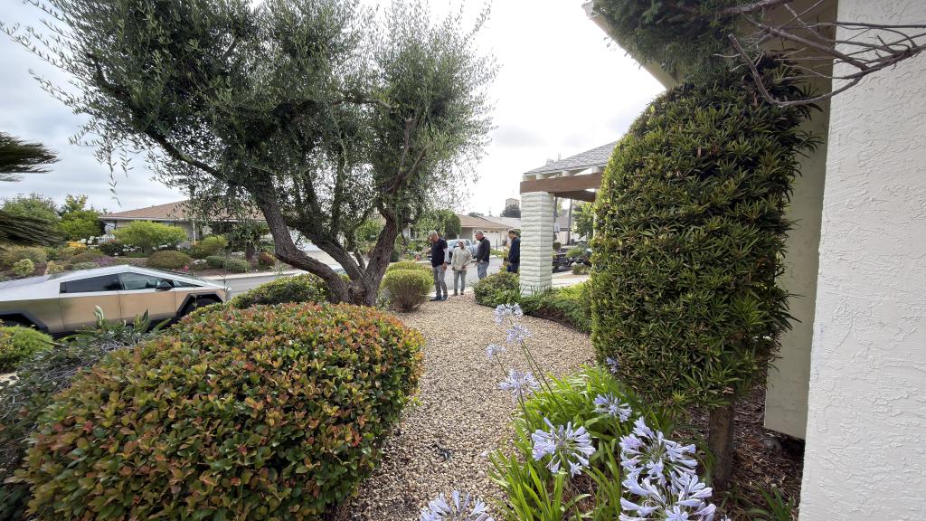 Landscaping San Diego