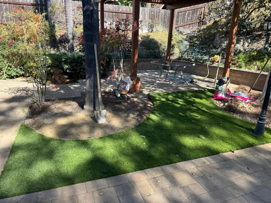 Project View 2