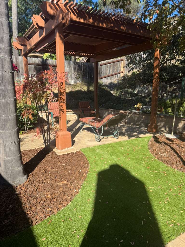 Project View 11