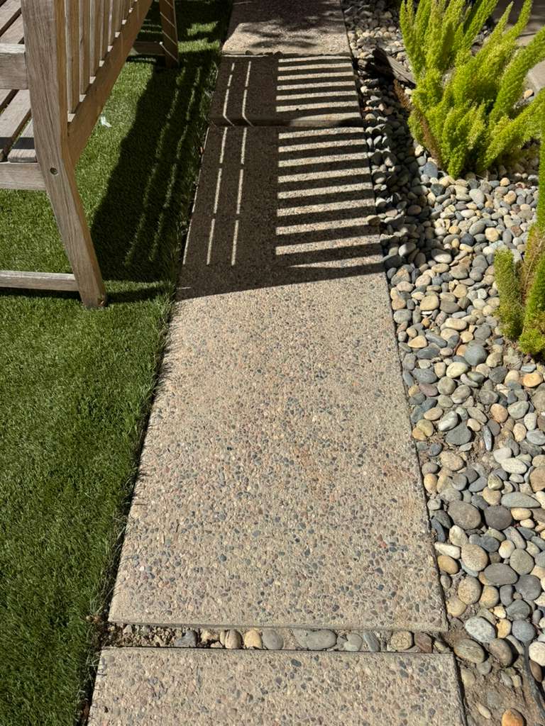 Project View 6