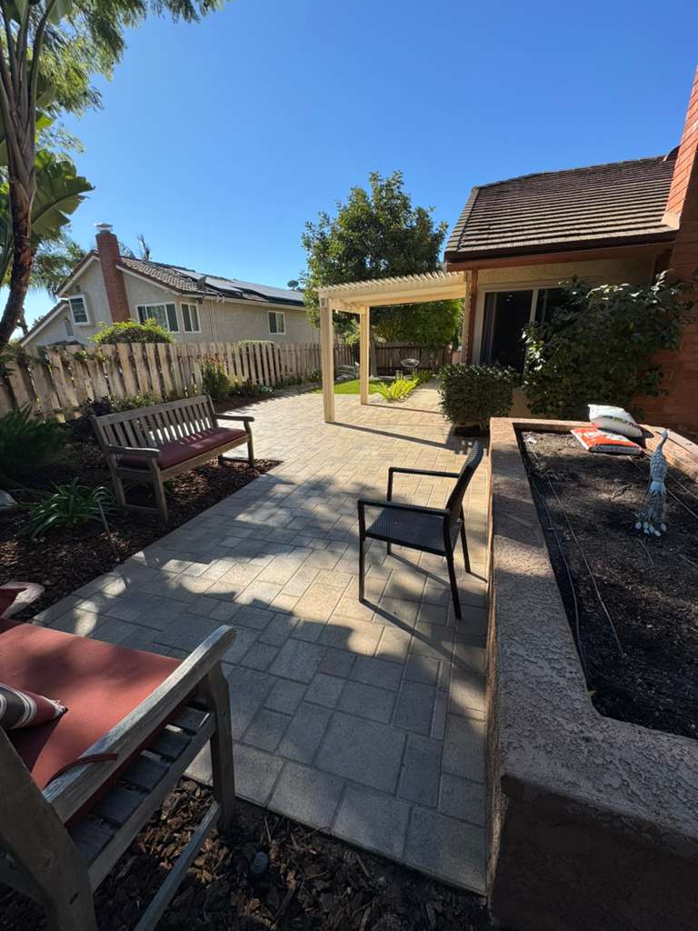 Project View 10