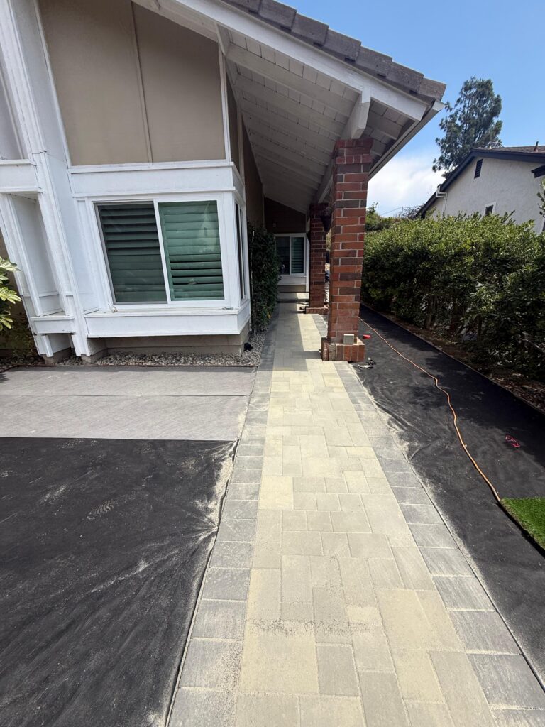 Project View 6
