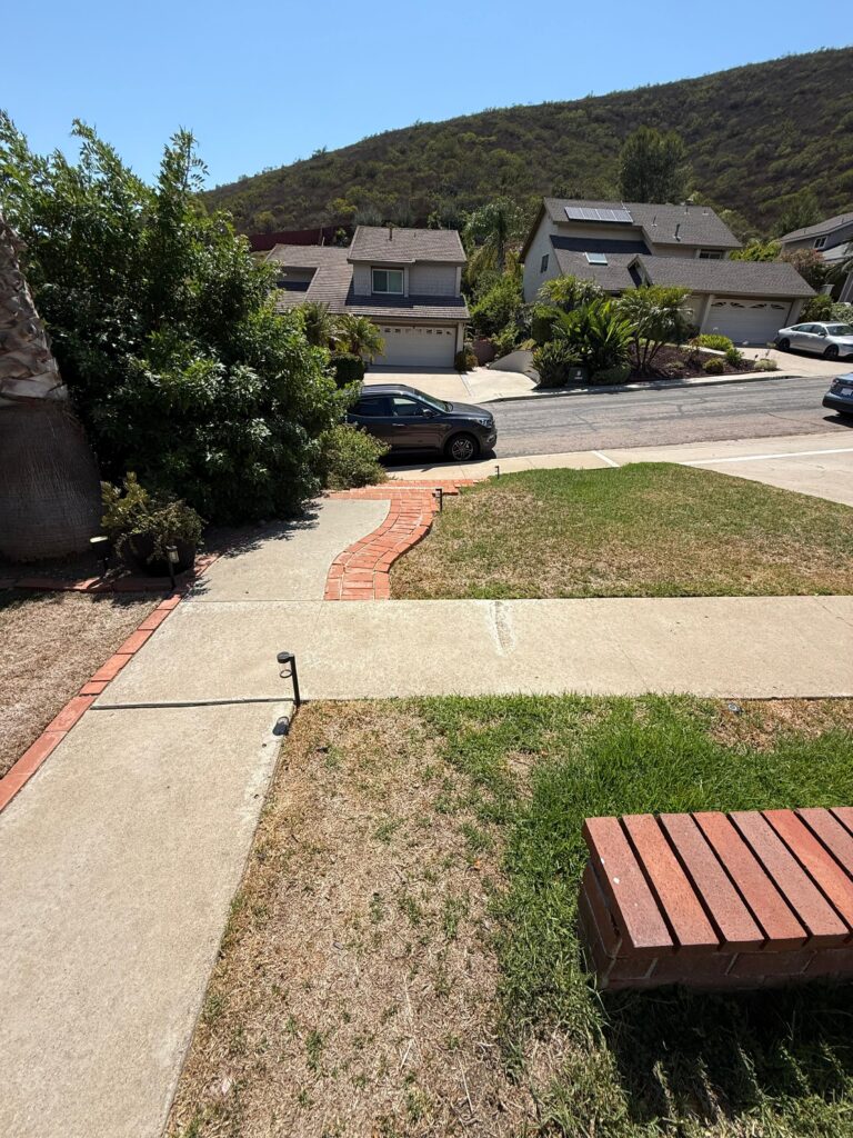Project View 7